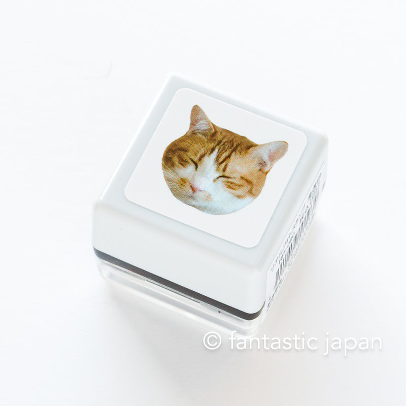 Real photo stamp - Tabby cat "Sleepy"-