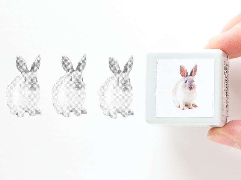 Real photo stamp -Rabbit "Itoh"-