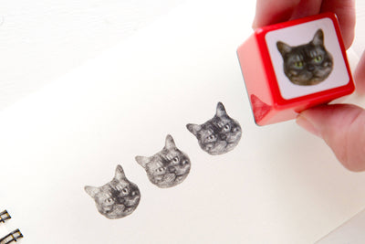 Real photo stamp  -Cat  "BOO"-
