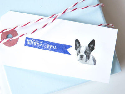 Real photo stamp  -Boston terrier "Chloe"-