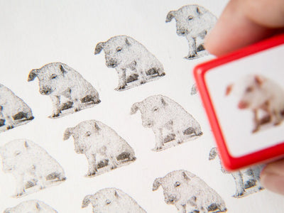 Real photo stamp - pig -