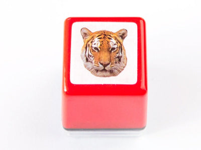 Real photo stamp  -tiger "Alexander"-