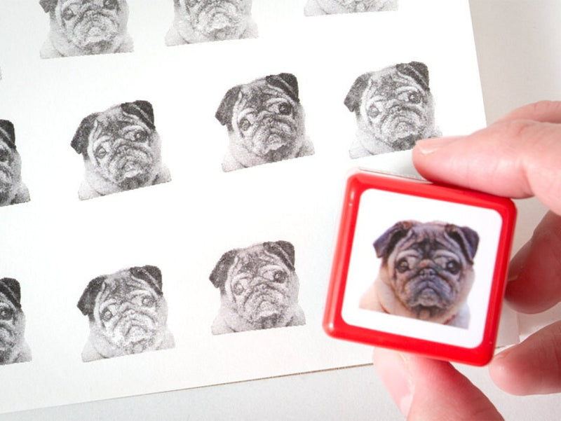 Real photo stamp -pug-