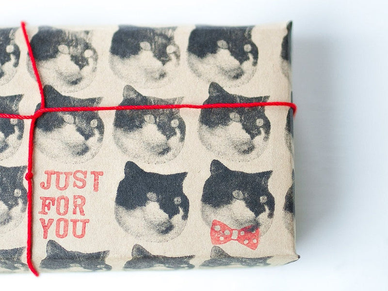 Real photo stamp -Scottish Fold Cat "Yamada"-