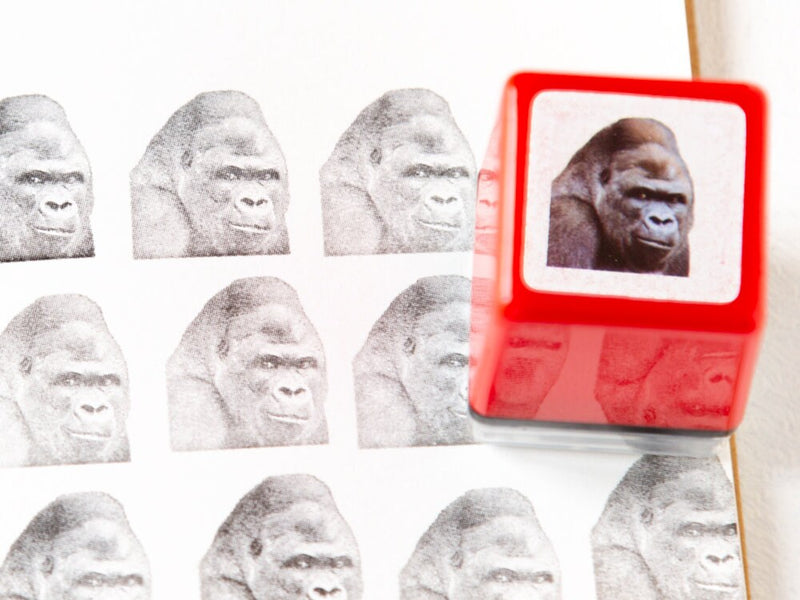 Real photo stamp -Gorilla-