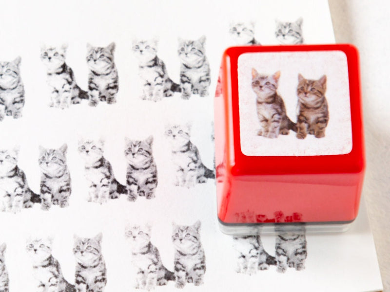 Real photo stamp -American shorthair Kitten "twins"-