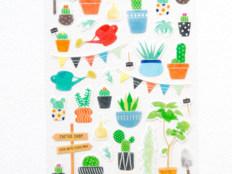 Sticker Marche "Cactus"
