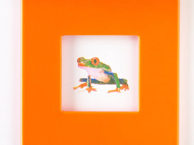 Creative color stamp Carasta -Frog- / set of 3colors /
