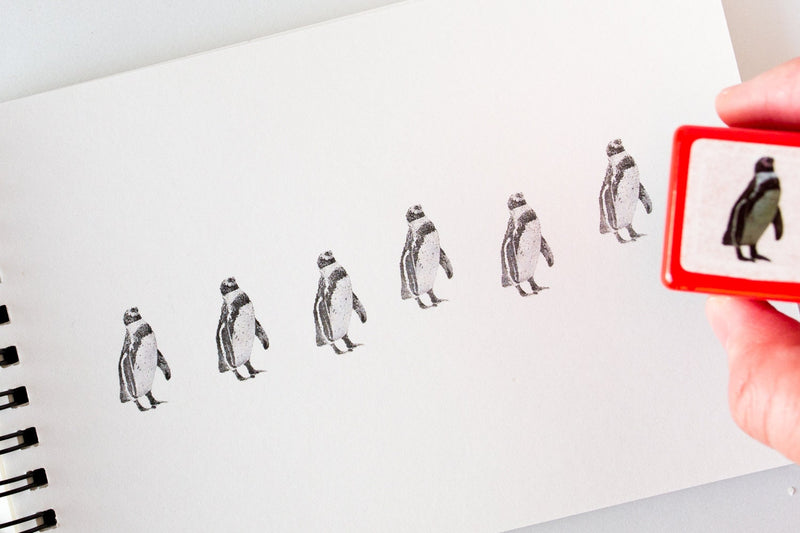 Real photo stamp -Humboldti Penguin-