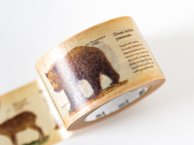mt washi tape Ex -Encyclopedia of animal-