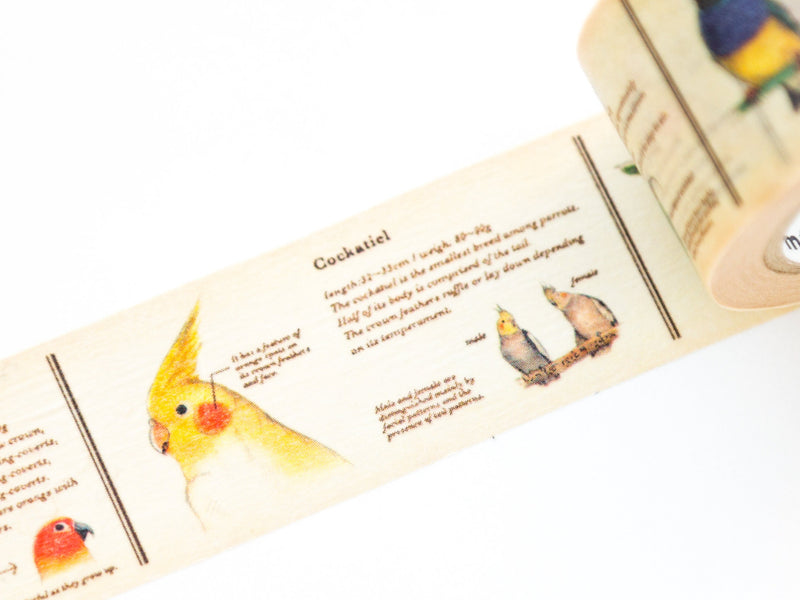 mt washi tape Ex -Encyclopedia of birds-