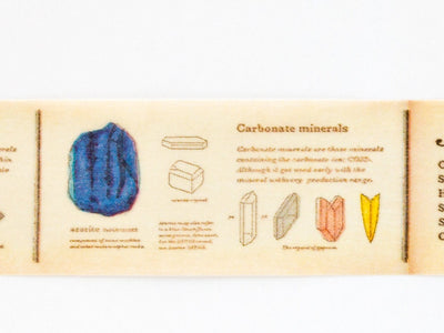 mt washi tape Ex -Encyclopedia of Mineral-
