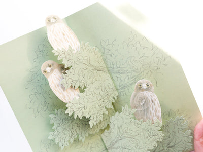 Pop-up card / Tobidustry -Brown Hawk Owl- by Atsuko Yukawa