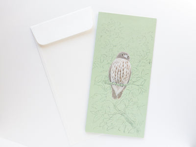 Pop-up card / Tobidustry -Brown Hawk Owl- by Atsuko Yukawa