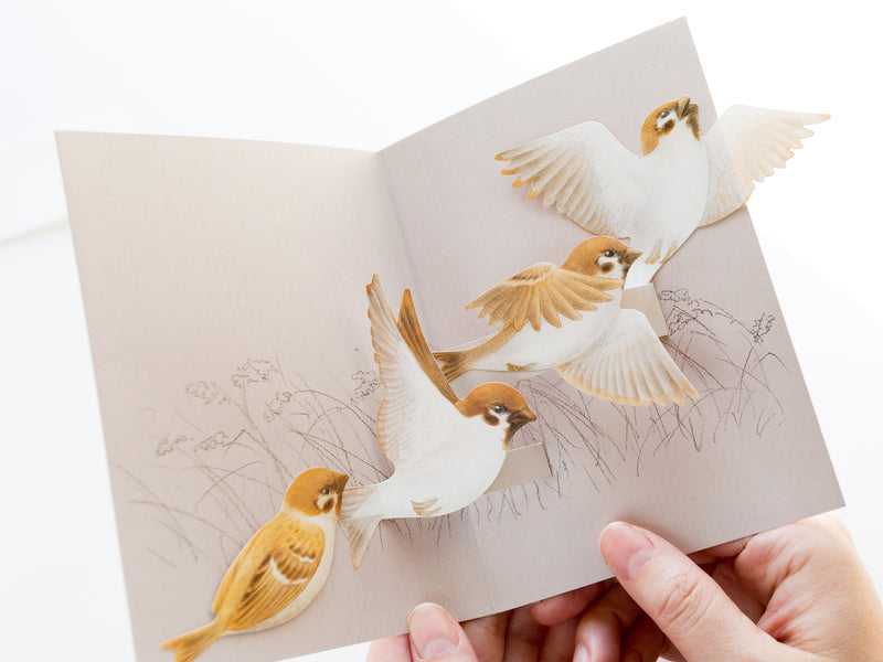 Pop-up card - Tobidustry, Tree Sparrow-