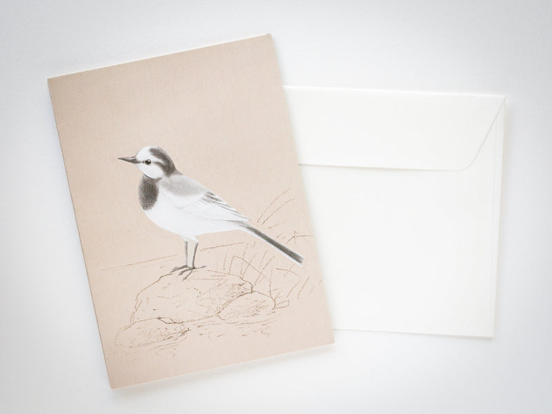 Pop-up card - Tobidustry, White Wagtail-