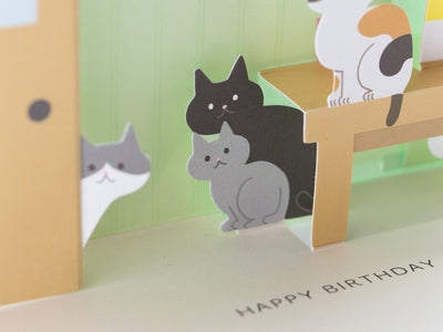 Birthday card -staring cats-