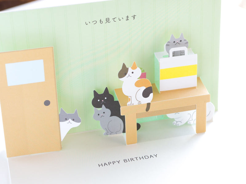 Birthday card -staring cats-