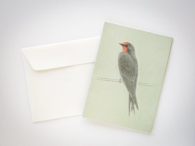 Pop-up card  - Tobidustry,  House Swallow-