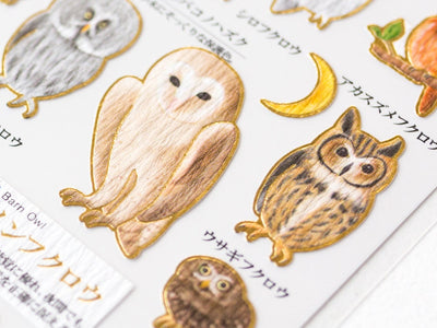 Visual collection sticker - Owl -
