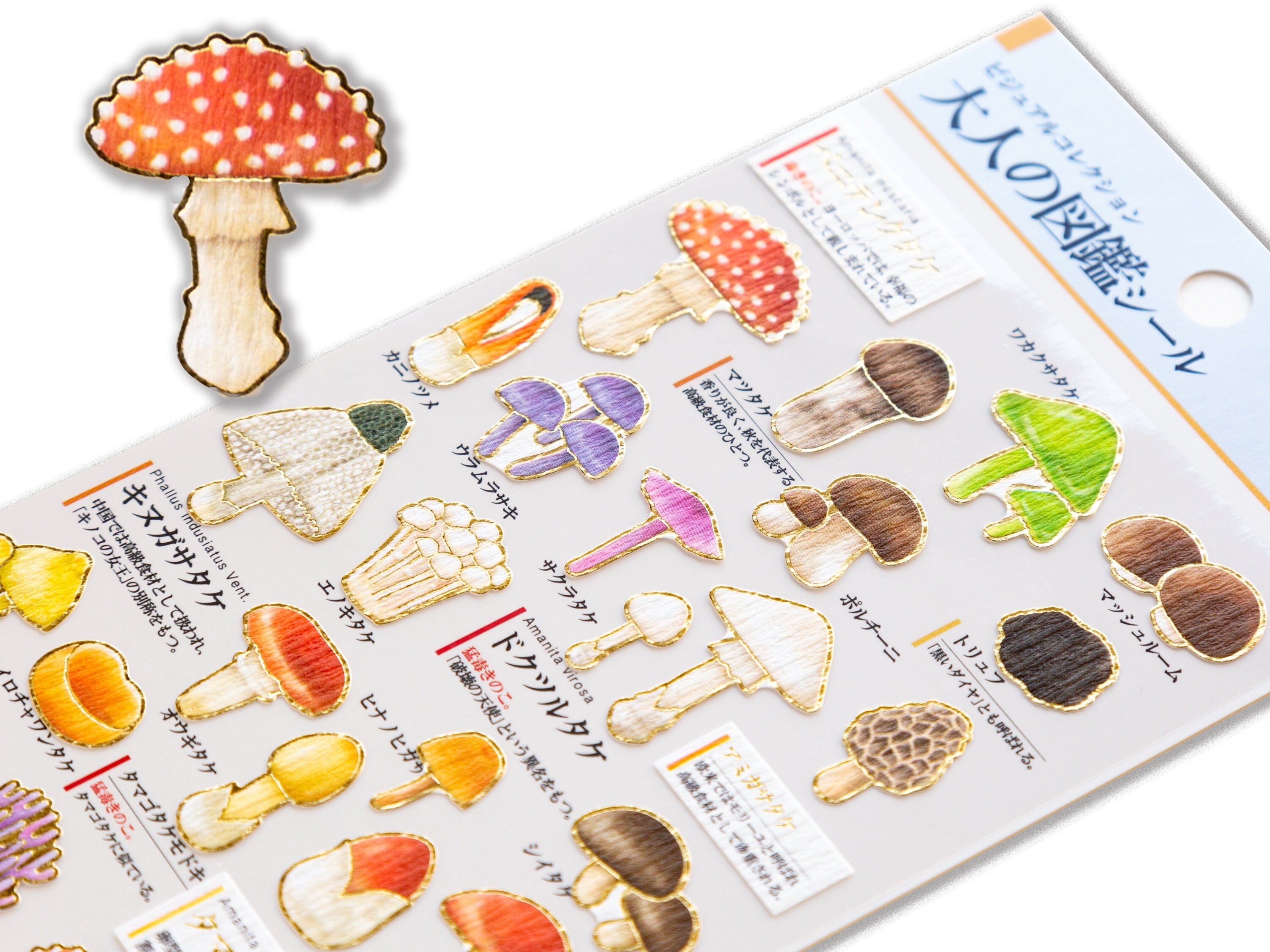 Gold foil visual collection sticker "mashrooms" / Japanese Sticker by ...