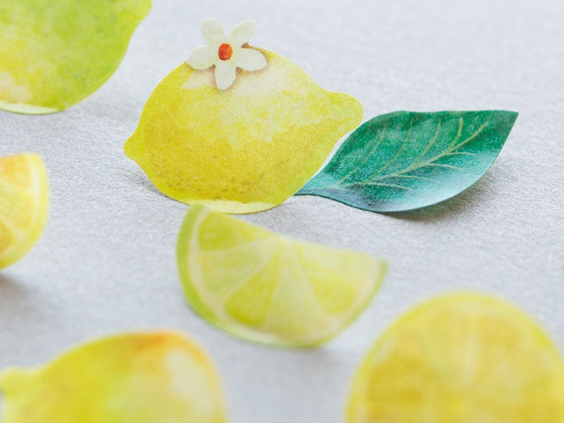 bande sticker -Lemon and Lime-