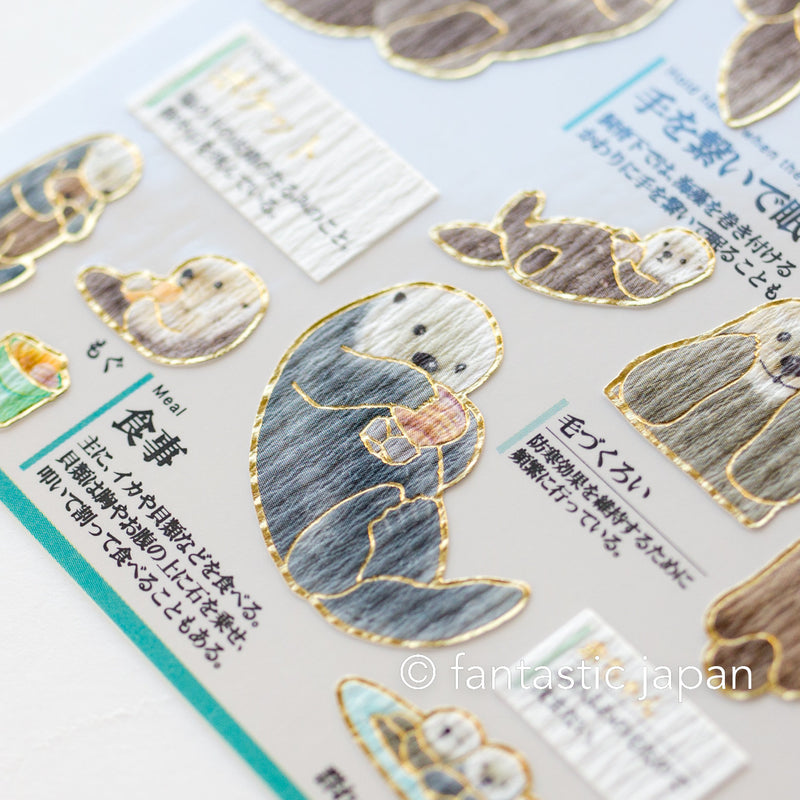 Gold foil visual collection sticker -Otter-