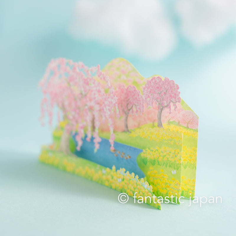 Greeting card  -Spring scenery of cherry blossoms and canola flower fields -