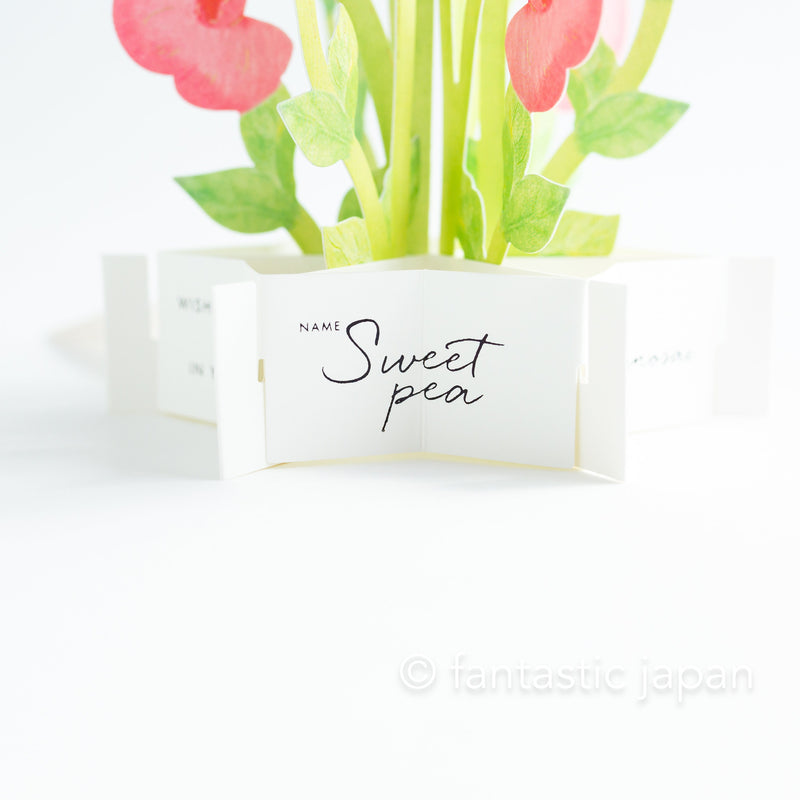 Birthday Blooming card -Sweetpea-