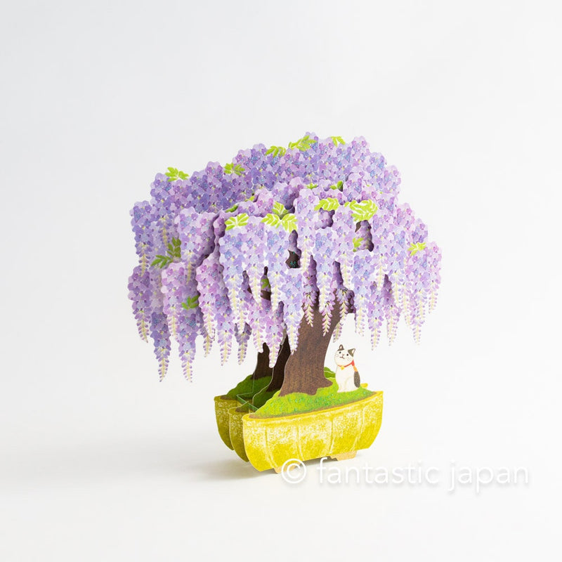 Greeting card -Cat on wisteria bonsai-