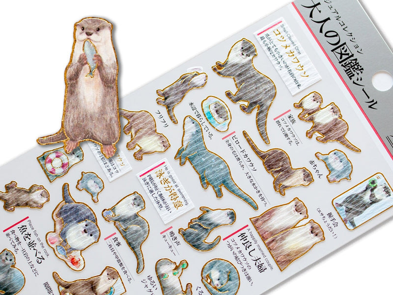 Gold foil adult visual dictionary sticker -Otter-