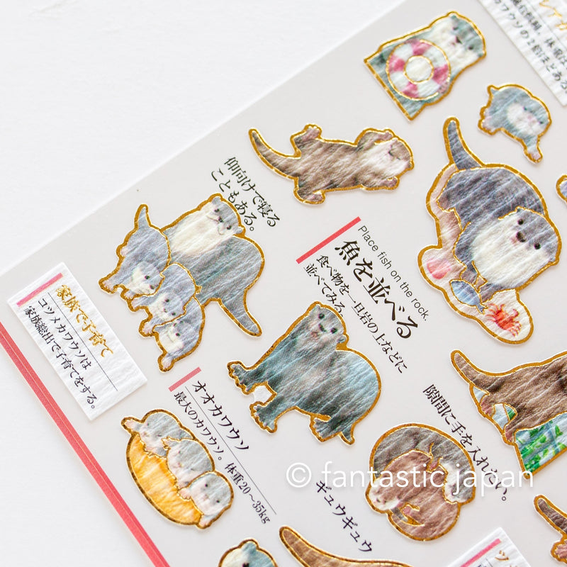 Gold foil adult visual dictionary sticker -Otter-