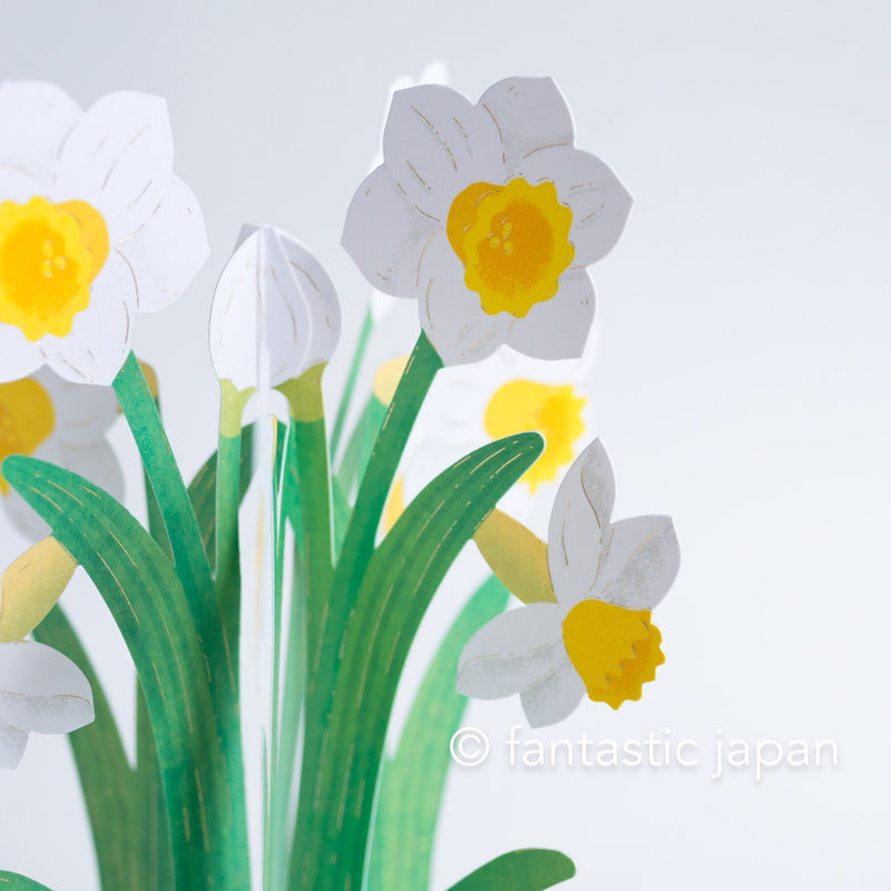 Birthday Blooming card -Narcissus-