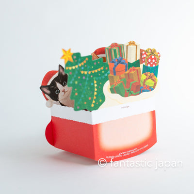 Christmas pop-up card  -Cats in Christmas socks-