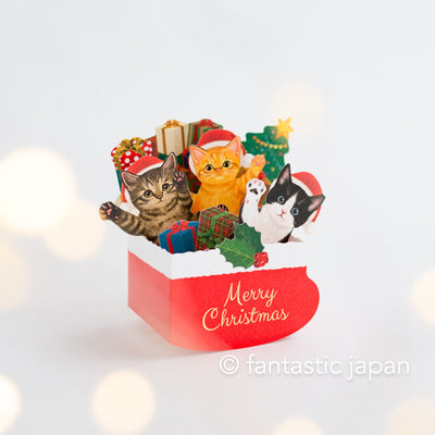 Christmas pop-up card  -Cats in Christmas socks-