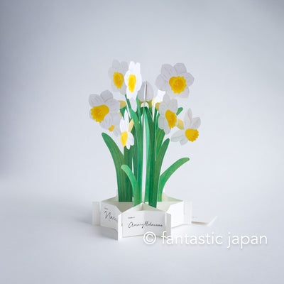 Birthday Blooming card -Narcissus-