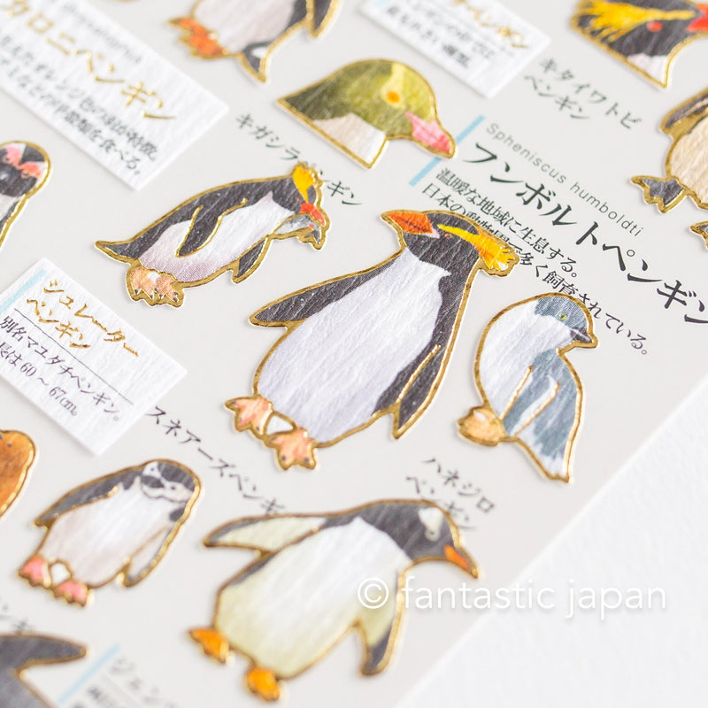 Gold foil adult visual dictionary sticker -penguins-