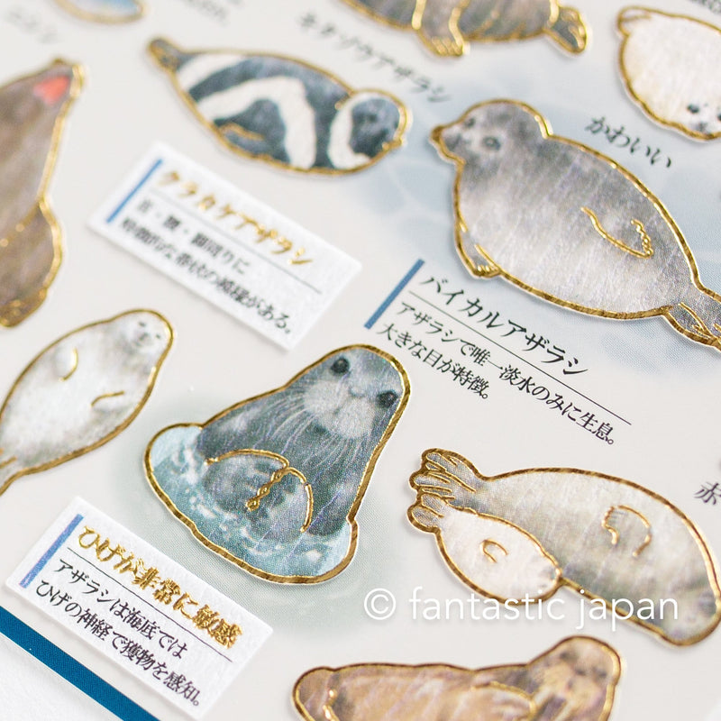 Gold foil adult visual dictionary sticker -Sea lion and Seals-