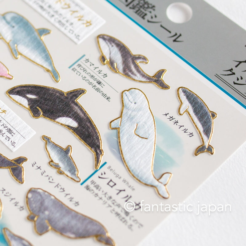 Gold foil adult visual dictionary sticker -Dolphin and Whales-