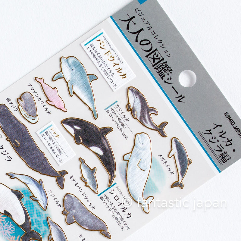 Gold foil adult visual dictionary sticker -Dolphin and Whales-