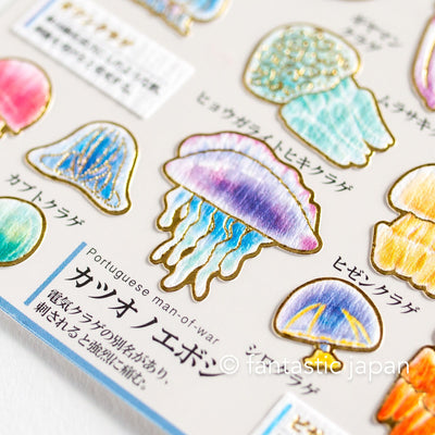 Gold foil adult visual dictionary sticker -jellyfish-