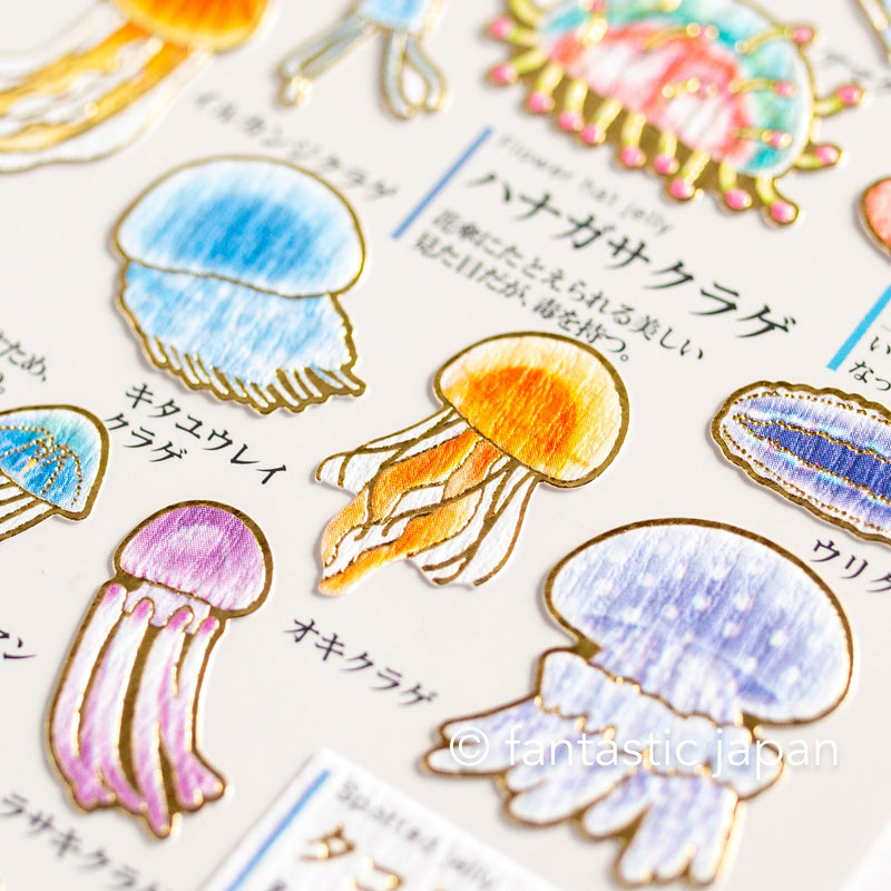 Gold foil adult visual dictionary sticker -jellyfish-