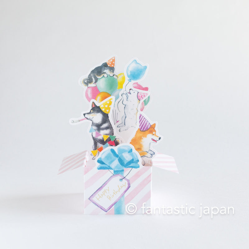 Box Birthday Card -Shibaken in the box- / designed by Natsuka Murata