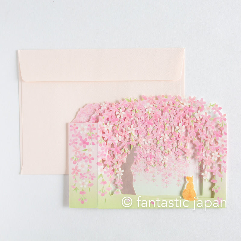 Greeting card -Cherry blossoms and cat-