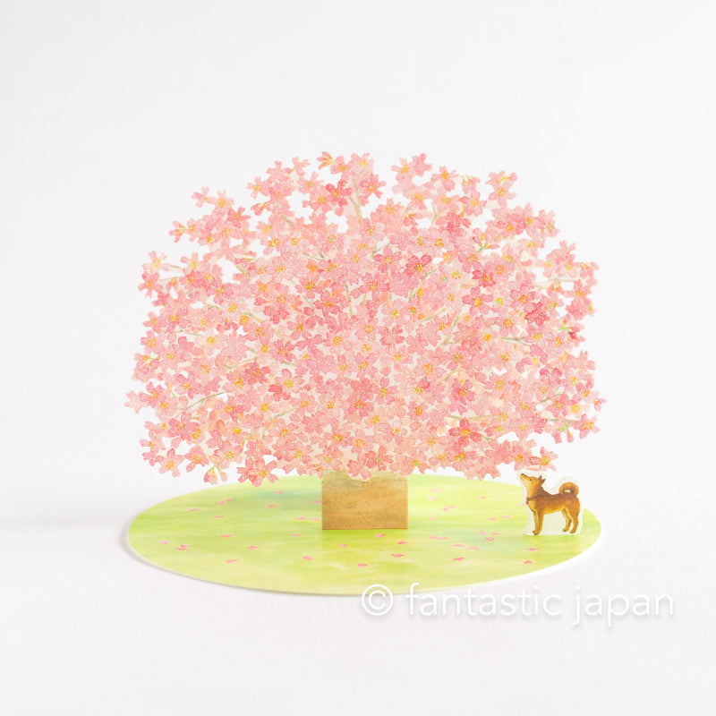 Greeting card -Shiba dog looking up at cherry blossoms-