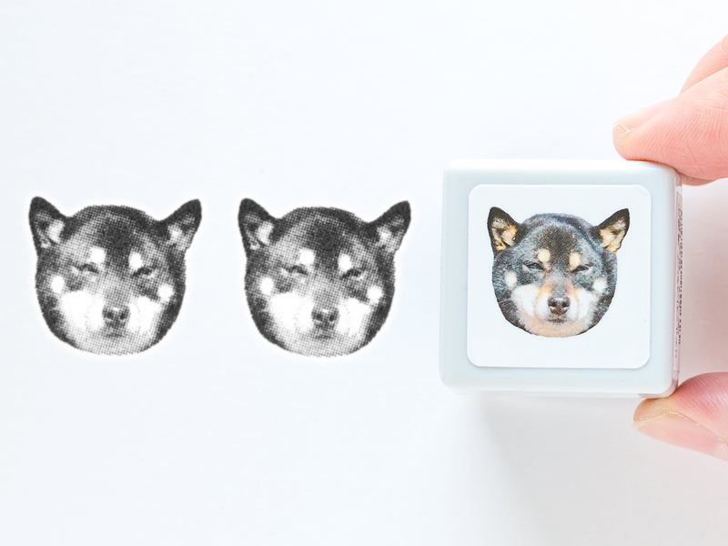 Real photo stamp -Shiba puppy-